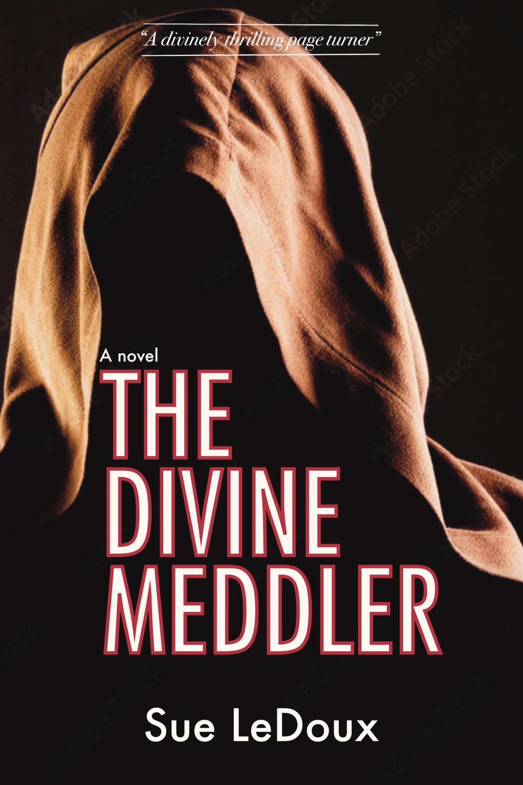 The Divine Meddler Cover(2)